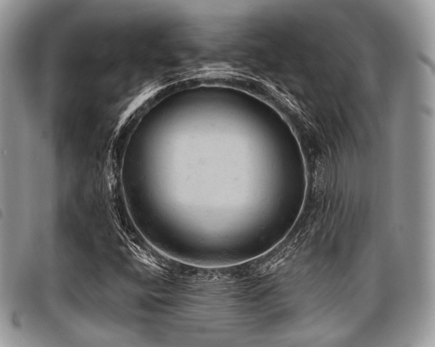 X0000098011400200803281302