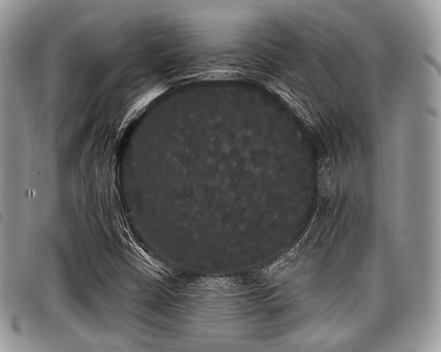 X0000098011402200803281302