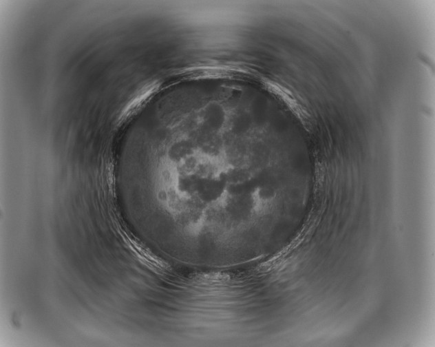 X0000098011403200803281302