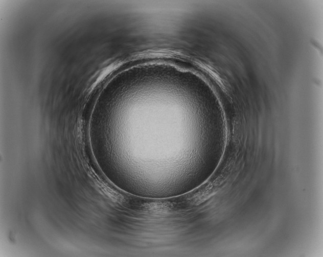 X0000098011404200803281302