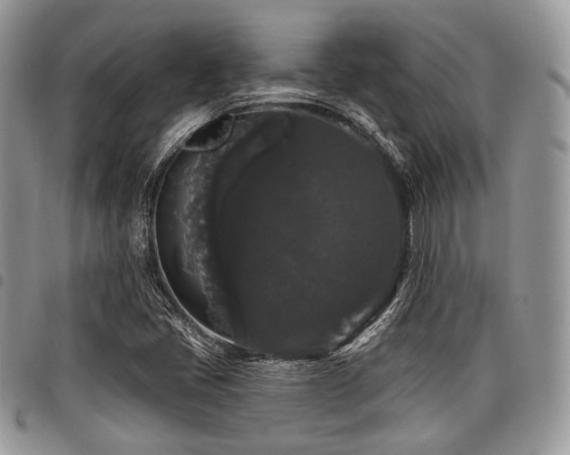 X0000098011405200803281302