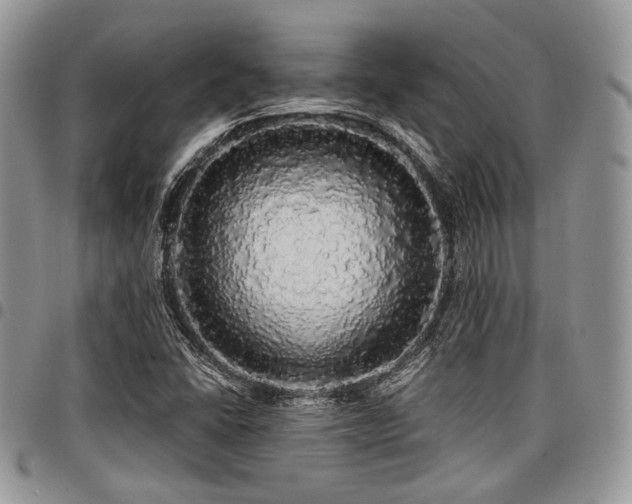 X0000098011406200803281302