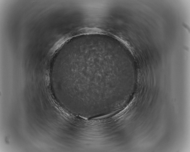 X0000098011407200803281302