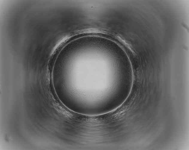 X0000098011408200803281302