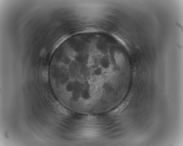 X0000098011409200803281302