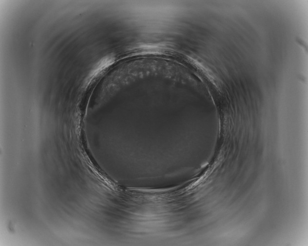 X0000098011411200803281302