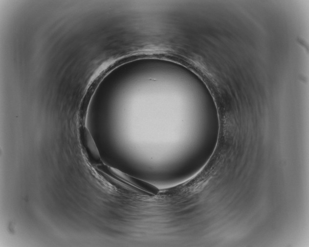 X0000098011412200803281302