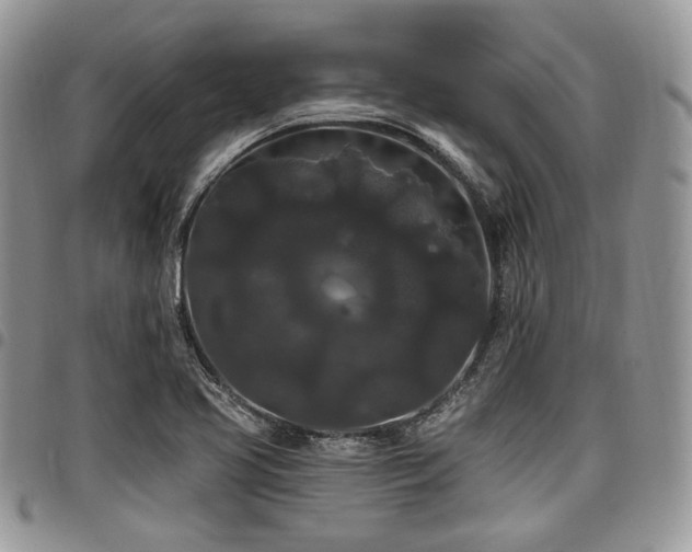 X0000098011413200803281302