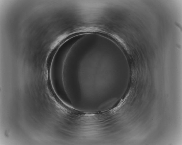 X0000098011414200803281302