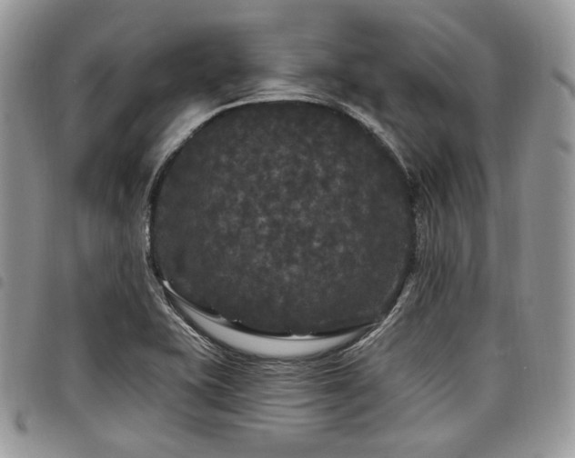 X0000098011415200803281302