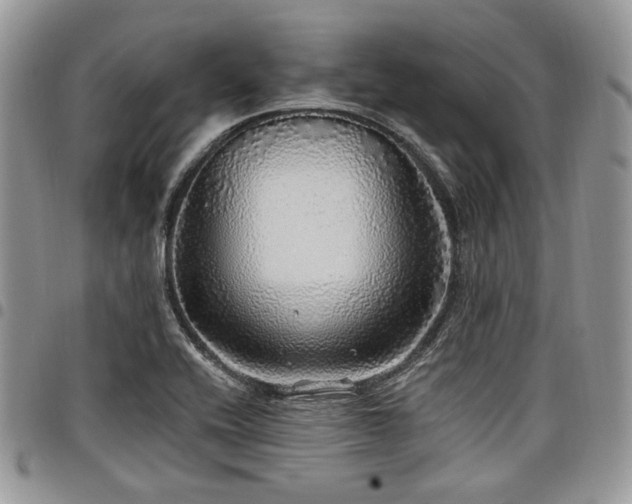 X0000098011416200803281302