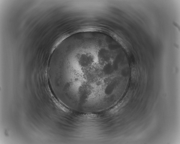 X0000098011417200803281302