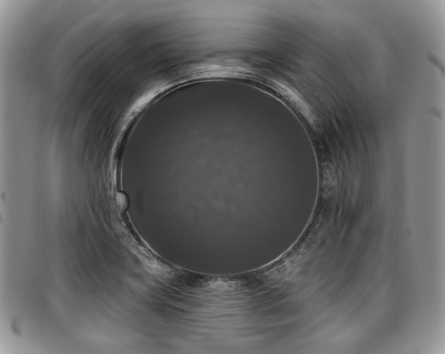 X0000098011419200803281302