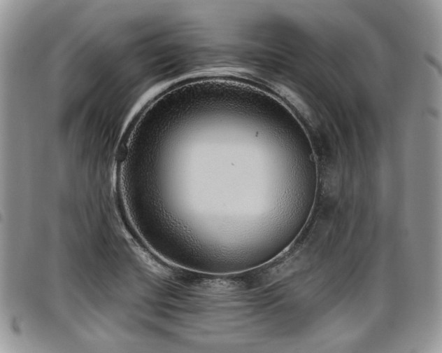 X0000098011420200803281302