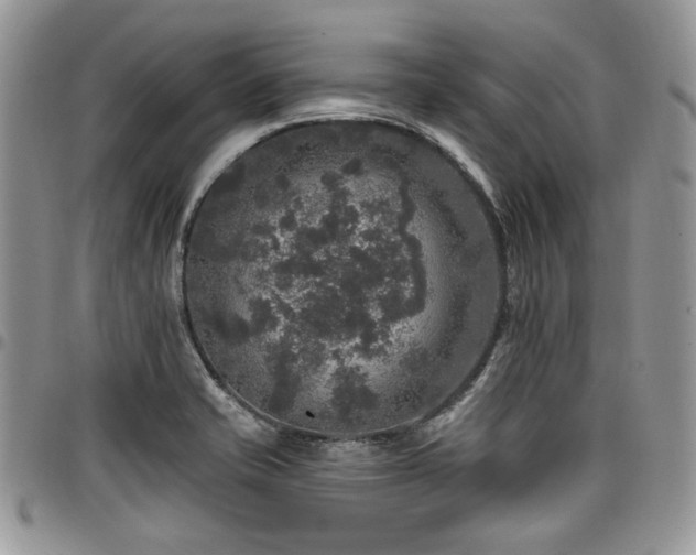 X0000098011421200803281302