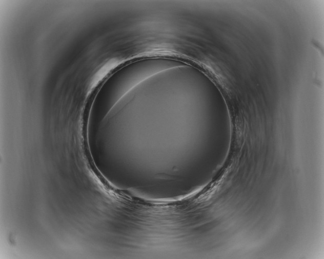 X0000098011422200803281302