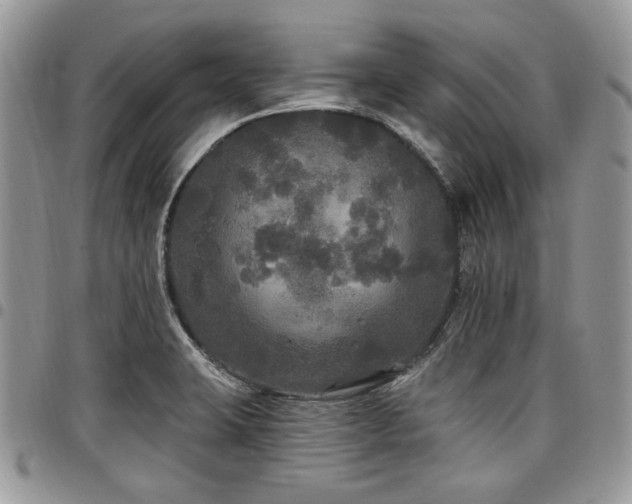 X0000098011423200803281302