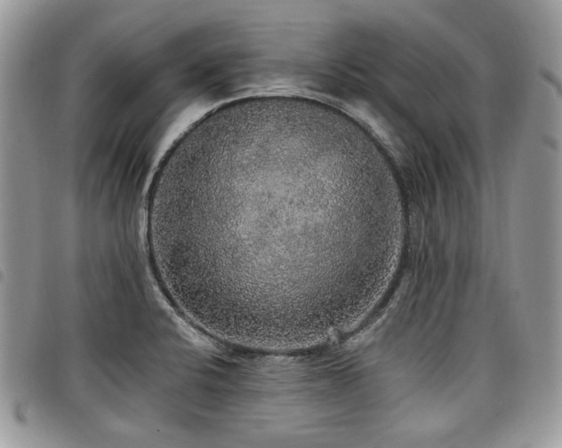 X0000098011424200803281302