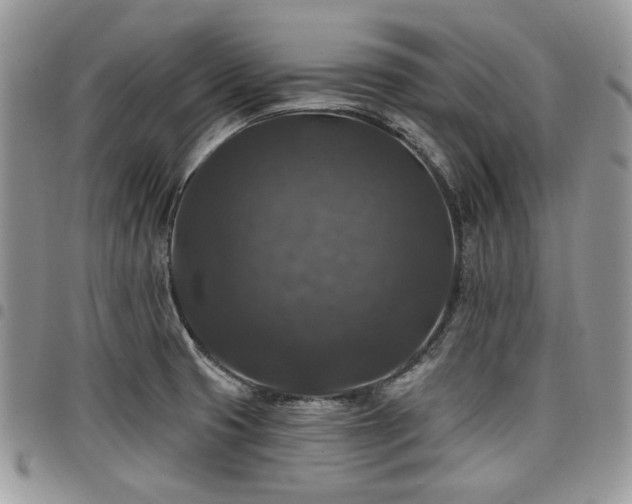 X0000098011425200803281302