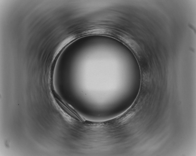 X0000098011426200803281302