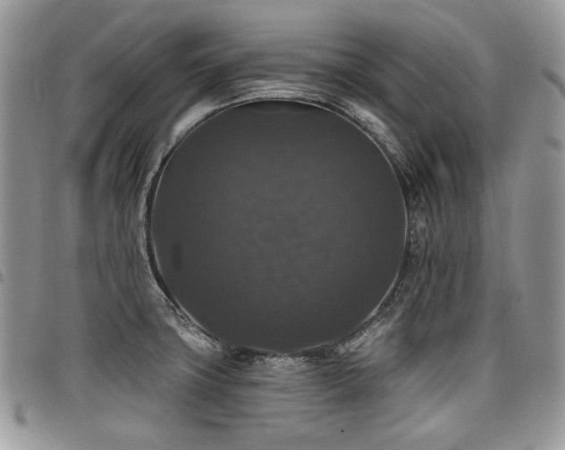 X0000098011427200803281302