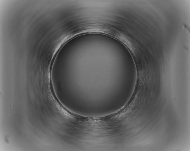 X0000098011428200803281302