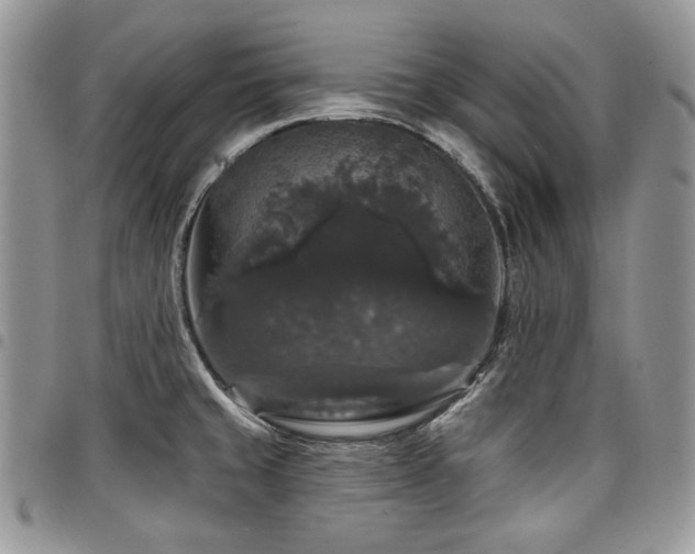 X0000098011429200803281302