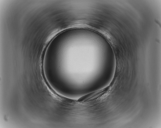 X0000098011430200803281302