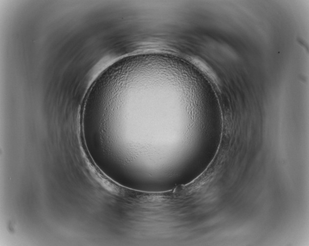 X0000098011431200803281302