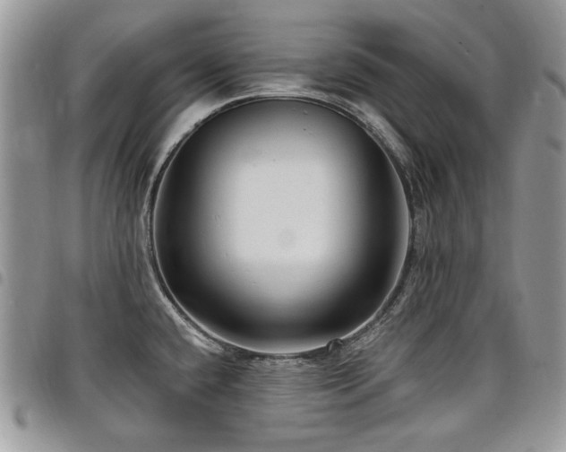 X0000098011432200803281302