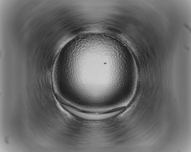 X0000098011433200803281302