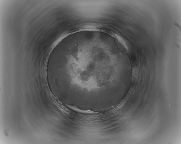 X0000098011435200803281302