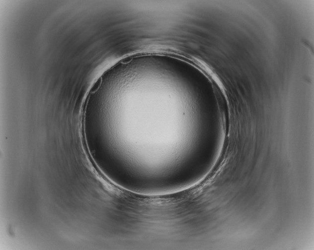 X0000098011437200803281302