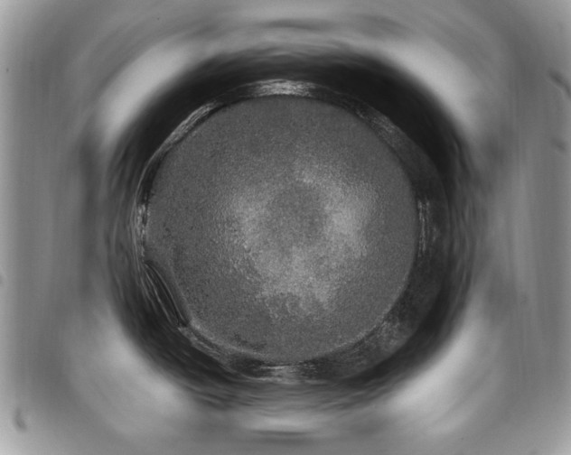 X0000098011438200803281302