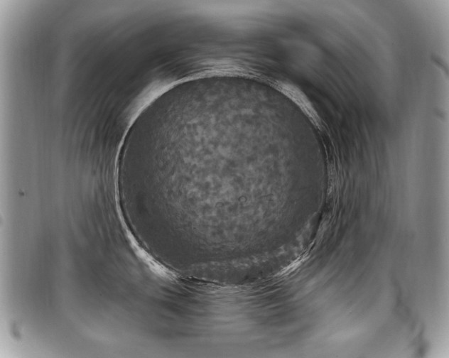 X0000098011439200803281302