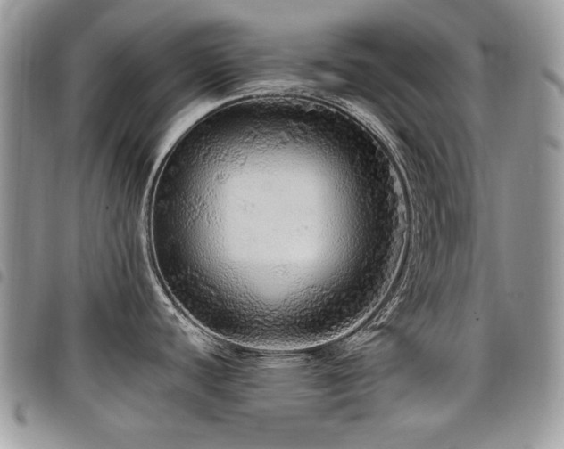 X0000098011440200803281302