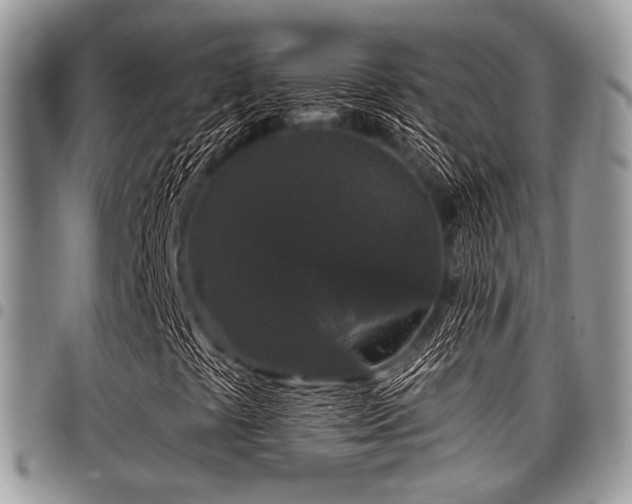 X0000098011441200803281302