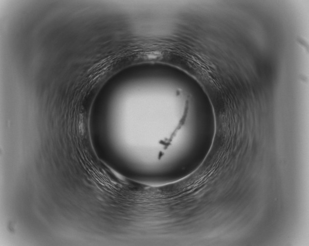 X0000098011442200803281302