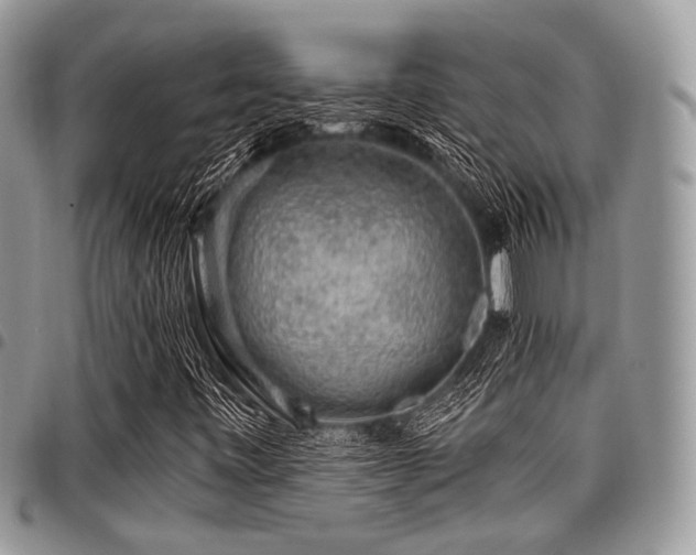 X0000098011443200803281302