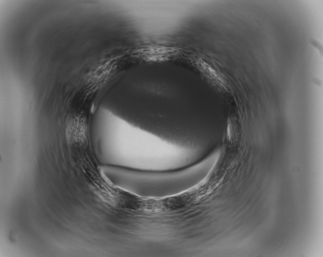 X0000098011444200803281302