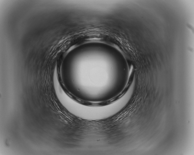 X0000098011445200803281302