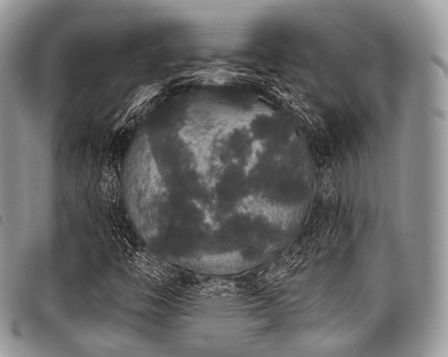 X0000098011446200803281302