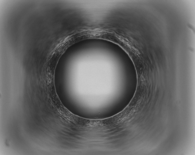 X0000098011447200803281302