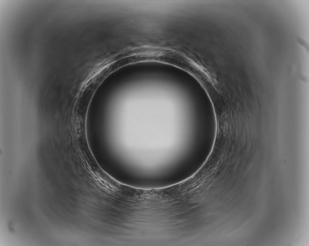 X0000098011448200803281302