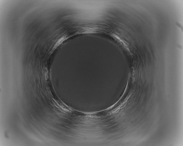 X0000098011449200803281301