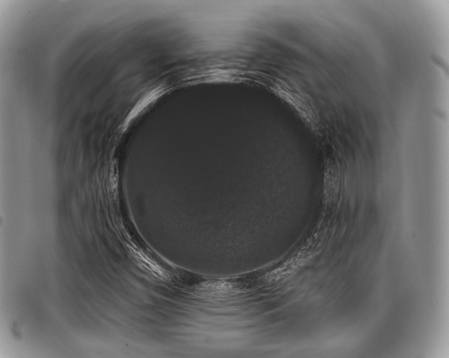 X0000098011450200803281301