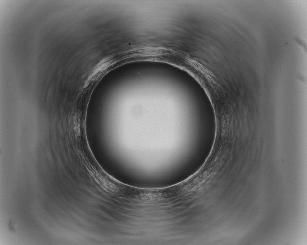 X0000098011451200803281301