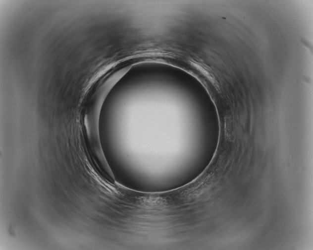 X0000098011452200803281301