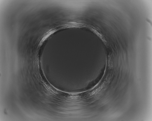 X0000098011453200803281301