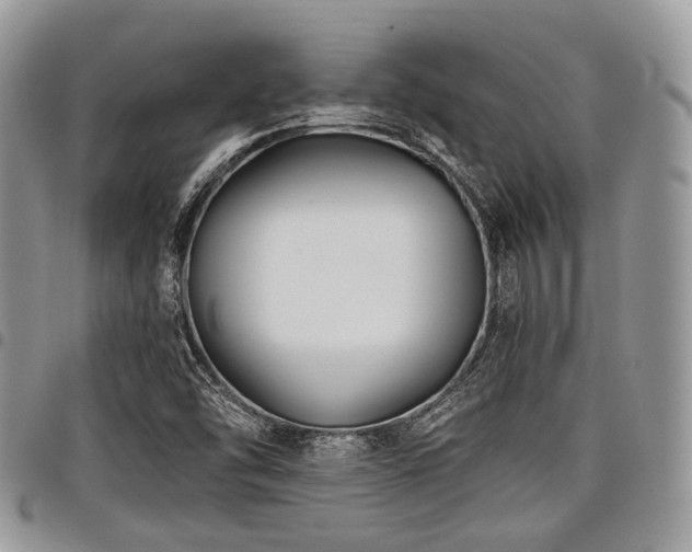 X0000098011454200803281301